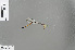  (Ceylonosticta austeni - RMNH.INS.229757)  @12 [ ] CreativeCommons - Attribution Non-Commercial Share-Alike (2013) Unspecified Naturalis, Biodiversity Centre