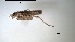  ( - OdoPL3)  @11 [ ] CreativeCommons - Attribution Non-Commercial No Derivatives (2018) Grzegorz Tonczyk University of Lodz, Faculty of Biology and Environmental Protection