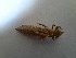  ( - OdoQC013)  @11 [ ] Unspecified (default): All Rights Reserved  Unspecified Unspecified
