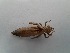  ( - OdoQC014)  @11 [ ] Unspecified (default): All Rights Reserved  Unspecified Unspecified