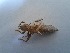  ( - OdoQC016)  @11 [ ] Unspecified (default): All Rights Reserved  Unspecified Unspecified
