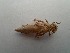  ( - OdoQC019)  @11 [ ] Unspecified (default): All Rights Reserved  Unspecified Unspecified