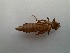  ( - OdoQC020)  @11 [ ] Unspecified (default): All Rights Reserved  Unspecified Unspecified