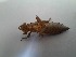  ( - OdoQC021)  @11 [ ] Unspecified (default): All Rights Reserved  Unspecified Unspecified