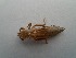  ( - OdoQC022)  @11 [ ] Unspecified (default): All Rights Reserved  Unspecified Unspecified