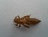  ( - OdoQC023)  @11 [ ] Unspecified (default): All Rights Reserved  Unspecified Unspecified