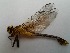  ( - OdoQC045)  @11 [ ] Unspecified (default): All Rights Reserved  Unspecified Unspecified