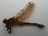  ( - OdoQC048)  @11 [ ] Unspecified (default): All Rights Reserved  Unspecified Unspecified