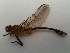  ( - OdoQC059)  @11 [ ] Unspecified (default): All Rights Reserved  Unspecified Unspecified