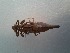  ( - OdoQC085)  @11 [ ] Unspecified (default): All Rights Reserved  Unspecified Unspecified