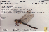  ( - 10-SKOD-205)  @12 [ ] CreativeCommons - Attribution (2010) Unspecified Centre for Biodiversity Genomics