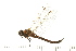  ( - 08BBODO-021)  @13 [ ] CreativeCommons - Attribution (2008) Unspecified Centre for Biodiversity Genomics