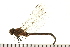  ( - 08BBODO-139)  @13 [ ] CreativeCommons - Attribution (2008) Unspecified Centre for Biodiversity Genomics