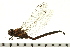  ( - 08BBODO-140)  @13 [ ] CreativeCommons - Attribution (2008) Unspecified Centre for Biodiversity Genomics