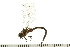  ( - 08BBODO-164)  @13 [ ] CreativeCommons - Attribution (2008) Unspecified Centre for Biodiversity Genomics