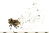  ( - 08BBODO-176)  @13 [ ] CreativeCommons - Attribution (2008) Unspecified Centre for Biodiversity Genomics