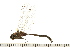  ( - 08BBODO-187)  @13 [ ] CreativeCommons - Attribution (2008) Unspecified Centre for Biodiversity Genomics