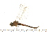  ( - 08BBODO-230)  @14 [ ] CreativeCommons - Attribution (2008) Unspecified Centre for Biodiversity Genomics