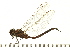  ( - 08BBODO-264)  @14 [ ] CreativeCommons - Attribution (2008) Unspecified Centre for Biodiversity Genomics
