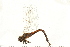  ( - 08OMSOD-0144)  @14 [ ] CreativeCommons - Attribution (2008) Unspecified Centre for Biodiversity Genomics