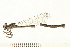  ( - 08OMSOD-0160)  @14 [ ] CreativeCommons - Attribution (2008) Unspecified Centre for Biodiversity Genomics