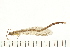  ( - 08OMSOD-0221)  @11 [ ] CreativeCommons - Attribution (2008) Unspecified Centre for Biodiversity Genomics