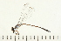  ( - 08OMSOD-0280)  @13 [ ] CreativeCommons - Attribution (2008) Unspecified Centre for Biodiversity Genomics