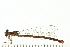  ( - 08SOODO-0108)  @14 [ ] CreativeCommons - Attribution (2008) Unspecified Centre for Biodiversity Genomics