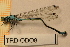  ( - TRD-ODO8)  @13 [ ] CreativeCommons - Attribution Non-Commercial Share-Alike (2014) Unspecified NTNU University Museum, Department of Natural History