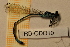  ( - TRD-ODO10)  @13 [ ] CreativeCommons - Attribution Non-Commercial Share-Alike (2014) Unspecified NTNU University Museum, Department of Natural History