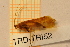  ( - TRD-TRI52)  @11 [ ] CreativeCommons - Attribution Non-Commercial Share-Alike (2014) Unspecified NTNU University Museum, Department of Natural History