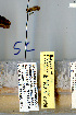  ( - 10OFSI-0038)  @11 [ ] Copyright (2010) Unspecified Rutgers University