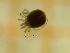  ( - LUNDES01_MAC19-1)  @11 [ ] by-nc-nd (2022) Angelika Janiszewska University of Lodz, Faculty of Biology and Environmental Protection