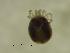  ( - LFUL03_OSB1_0_DR)  @11 [ ] by-nc-nd (2022) Angelika Janiszewska University of Lodz, Faculty of Biology and Environmental Protection