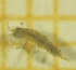  ( - OA005_01_I)  @11 [ ] by-nc-nd (2022) Klaudyna Królikowska University of Lodz, Faculty of Biology and Environmental Protection