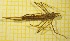  ( - OA013_02_Od)  @11 [ ] by-nc-nd (2022) Klaudyna Królikowska University of Lodz, Faculty of Biology and Environmental Protection