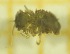  ( - OA013_04_I)  @11 [ ] by-nc-nd (2022) Klaudyna Królikowska University of Lodz, Faculty of Biology and Environmental Protection