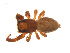  ( - BIOUG20590-B12)  @11 [ ] CreativeCommons - Attribution (2015) G. Blagoev Centre for Biodiversity Genomics