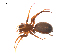  ( - BIOUG20590-H07)  @11 [ ] CreativeCommons - Attribution (2015) G. Blagoev Centre for Biodiversity Genomics