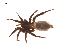  ( - BIOUG20600-A06)  @11 [ ] CreativeCommons - Attribution (2015) G. Blagoev Centre for Biodiversity Genomics