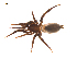  ( - BIOUG20600-A07)  @11 [ ] CreativeCommons - Attribution (2015) G. Blagoev Centre for Biodiversity Genomics