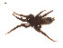  ( - BIOUG20600-A08)  @11 [ ] CreativeCommons - Attribution (2015) G. Blagoev Centre for Biodiversity Genomics
