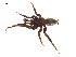  ( - BIOUG20600-A09)  @11 [ ] CreativeCommons - Attribution (2015) G. Blagoev Centre for Biodiversity Genomics