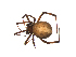  ( - BIOUG20600-G10)  @14 [ ] CreativeCommons - Attribution (2015) G. Blagoev Centre for Biodiversity Genomics