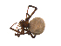  ( - BIOUG20600-G11)  @14 [ ] CreativeCommons - Attribution (2015) G. Blagoev Centre for Biodiversity Genomics