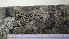  ( - BG-L-99191)  @11 [ ] CreativeCommons - Attribution Non-Commercial (2017) Tor Tønsberg University Museum of Bergen