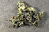  ( - O-L-155719)  @11 [ ] CreativeCommons - Attribution Non-Commercial (2013) Einar Timdal Natural History Museum, University of Oslo, Norway