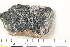 (Buellia uberior - O-L-168456)  @11 [ ] by-nc (2020) Einar Timdal Natural History Museum, University of Oslo, Norway