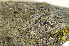 ( - O-L-182151)  @11 [ ] CreativeCommons - Attribution Non-Commercial (2013) Einar Timdal Natural History Museum, University of Oslo, Norway