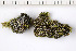  ( - O-L-199545)  @11 [ ] CreativeCommons - Attribution Non-Commercial (2016) Kristine Dobbe University of Oslo, Natural History Museum